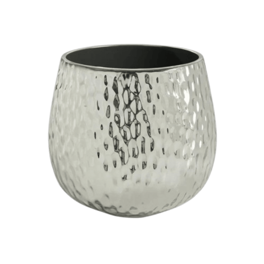 Supernova Silver Pot - Bumble Plants