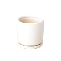 Cylinder Pot - 4 Inch - Bumble Plants