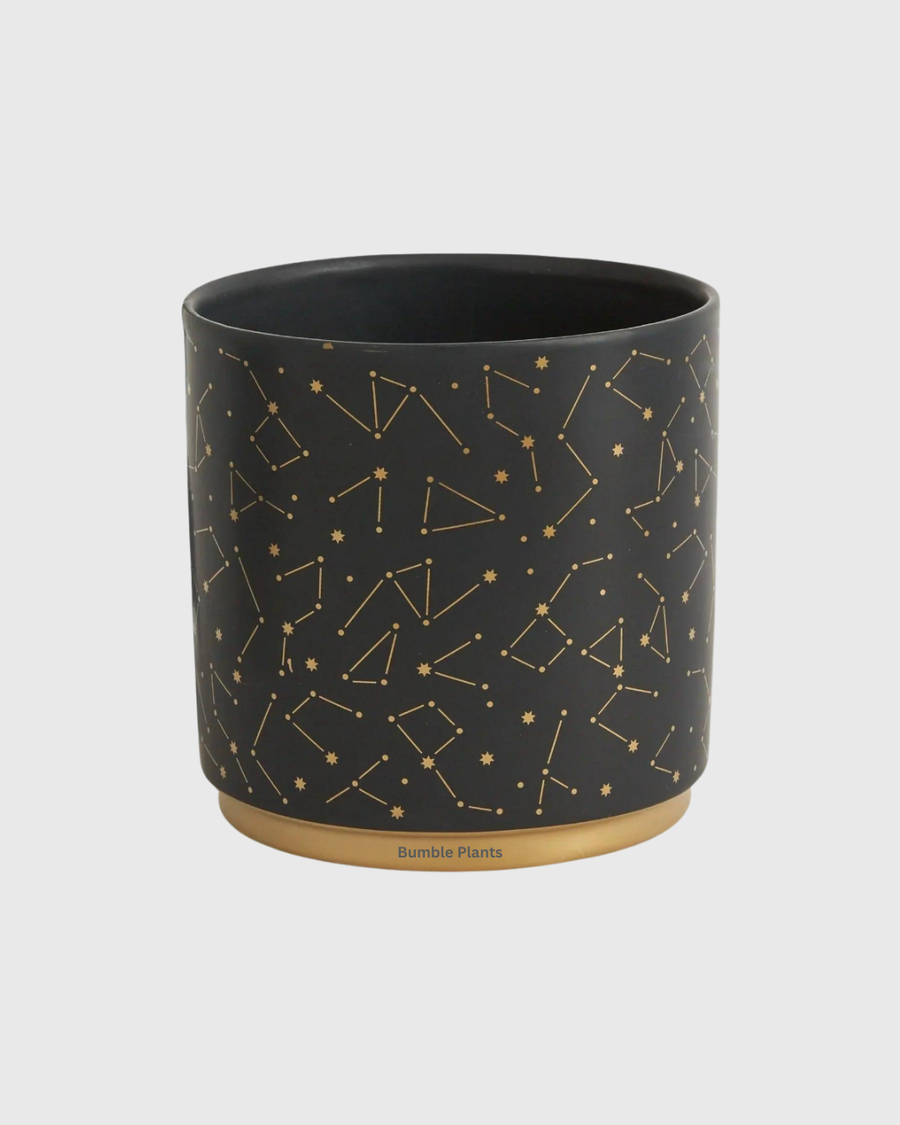 Universe Pot
