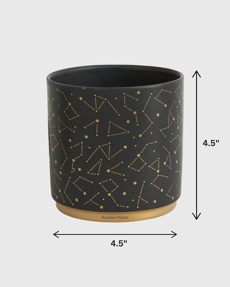 Universe Pot