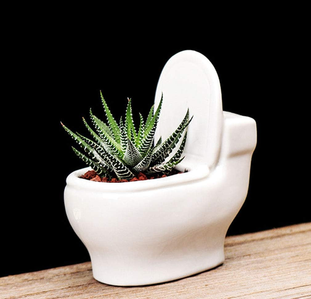 Ceramic White Toilet Plant Pot/Bonsai Pot/Flower Pot/Succulent Planter 4.6" Ideal Gifts for Women, Mom or Birthdays