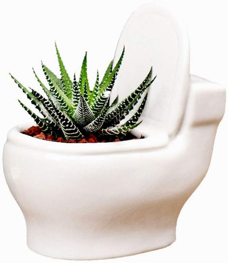 Ceramic White Toilet Plant Pot/Bonsai Pot/Flower Pot/Succulent Planter 4.6" Ideal Gifts for Women, Mom or Birthdays