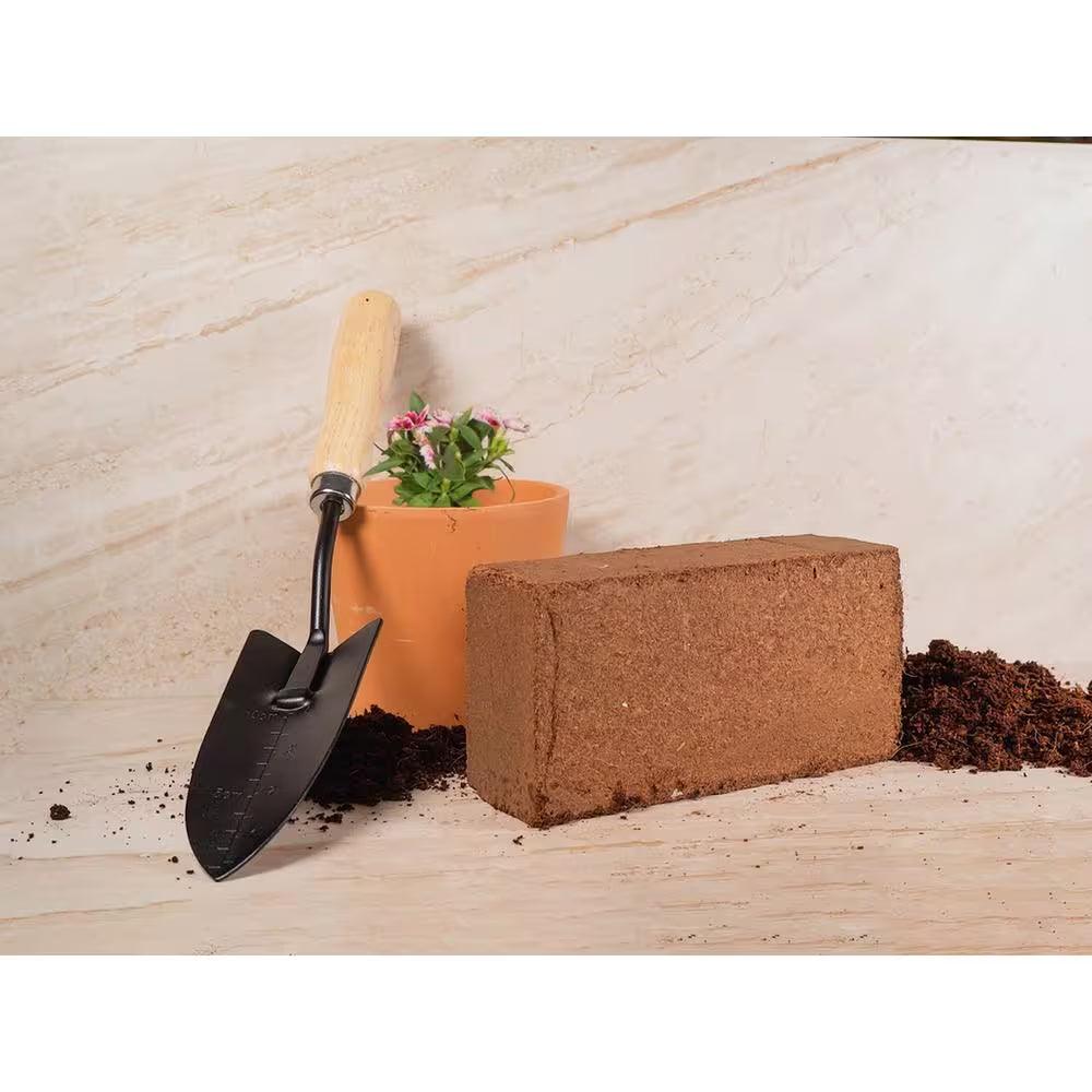 100% Organic Coco Coir Briquette Potting Soil (3-Pack) - Bumble Plants