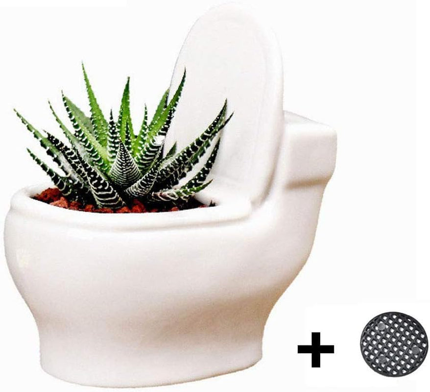 Ceramic White Toilet Plant Pot/Bonsai Pot/Flower Pot/Succulent Planter 4.6" Ideal Gifts for Women, Mom or Birthdays