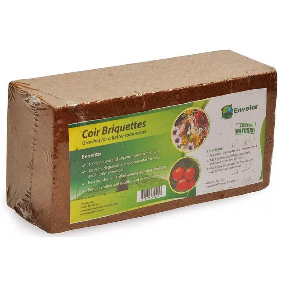 100% Organic Coco Coir Briquette Potting Soil (3-Pack) - Bumble Plants
