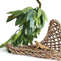 Reptile Plants Hanging Silk Terrarium Plants with Suction Cup, 12 Inches