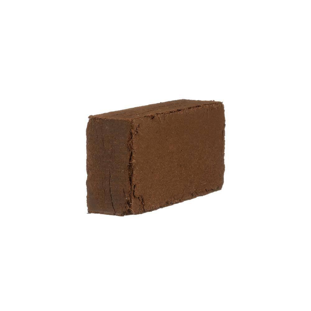100% Organic Coco Coir Briquette Potting Soil (3-Pack) - Bumble Plants