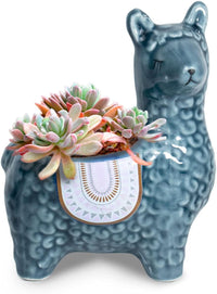 Cute Llama Ceramic Succulent Planter/Plant Pot/Flower Pot/Bonsai Pot, Blue Gray