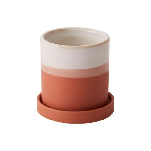 Hadley Terracotta Pot - Bumble Plants