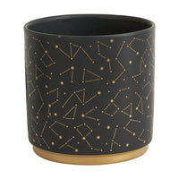 Universe Pot - Bumble Plants