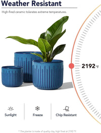 Blue Marine Trio Planters (set of 3) - 8.3+6.9+5.7 Inch - Bumble Plants
