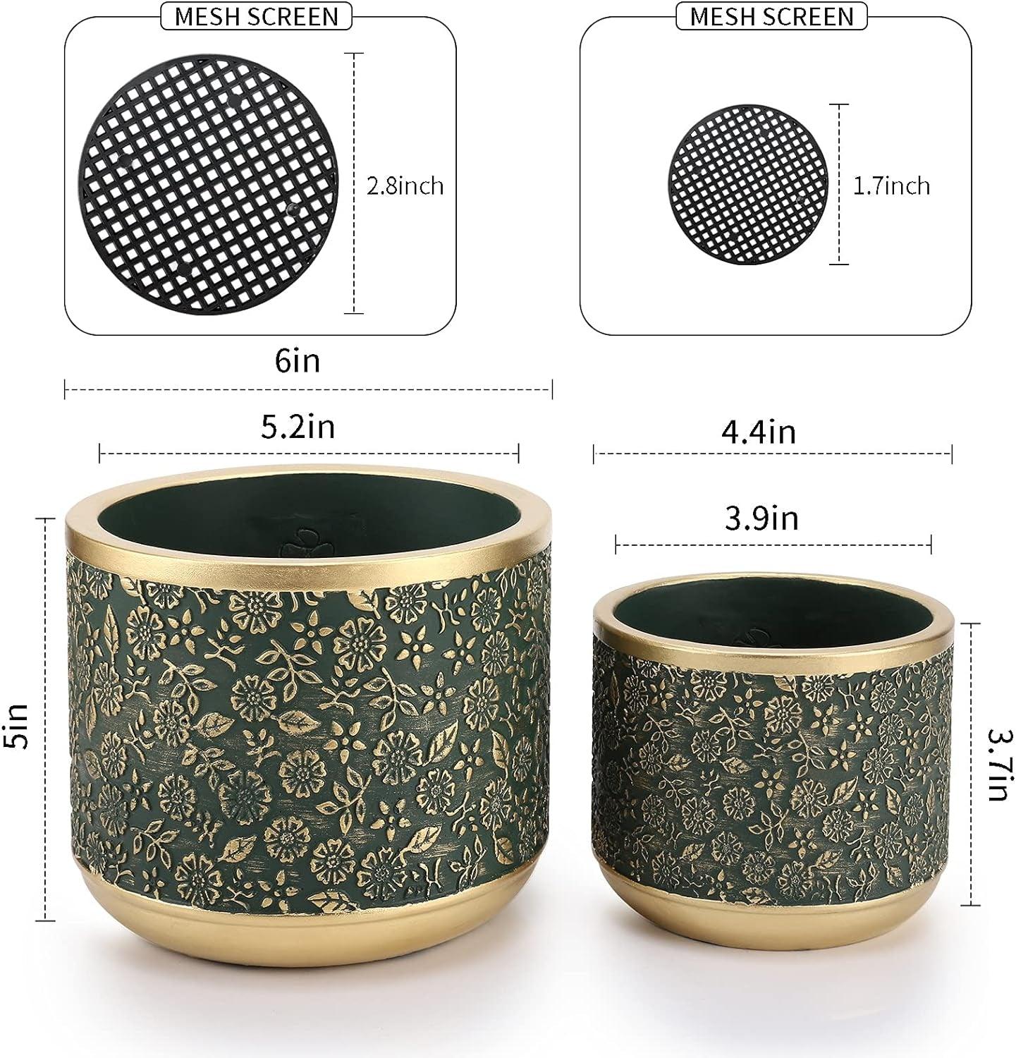 Exotica Luxe Golden Green Plant Pot (set of 2) - Bumble Plants