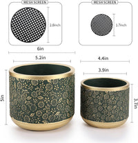 Exotica Luxe Golden Green Plant Pot (set of 2) - Bumble Plants