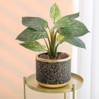 Exotica Luxe Golden Green Plant Pot (set of 2) - Bumble Plants
