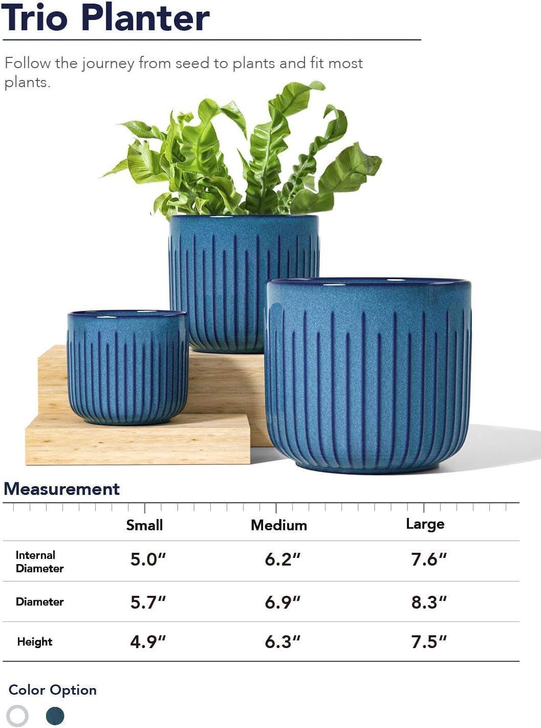 Blue Marine Trio Planters (set of 3) - 8.3+6.9+5.7 Inch - Bumble Plants