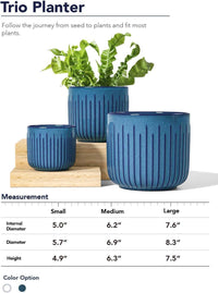 Blue Marine Trio Planters (set of 3) - 8.3+6.9+5.7 Inch - Bumble Plants