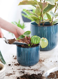 Blue Marine Trio Planters (set of 3) - 8.3+6.9+5.7 Inch - Bumble Plants