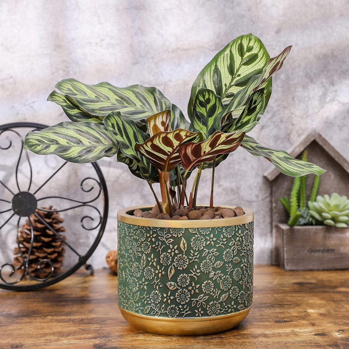 Exotica Luxe Golden Green Plant Pot (set of 2) - Bumble Plants