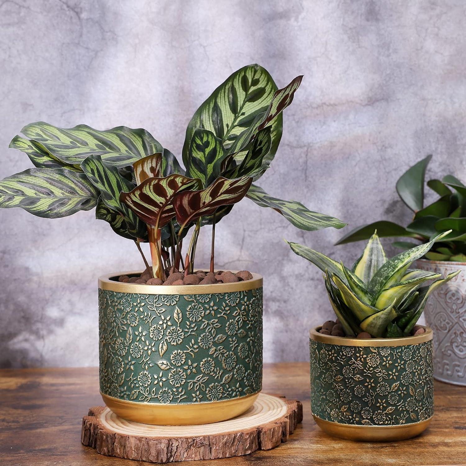 Exotica Luxe Golden Green Plant Pot (set of 2) - Bumble Plants