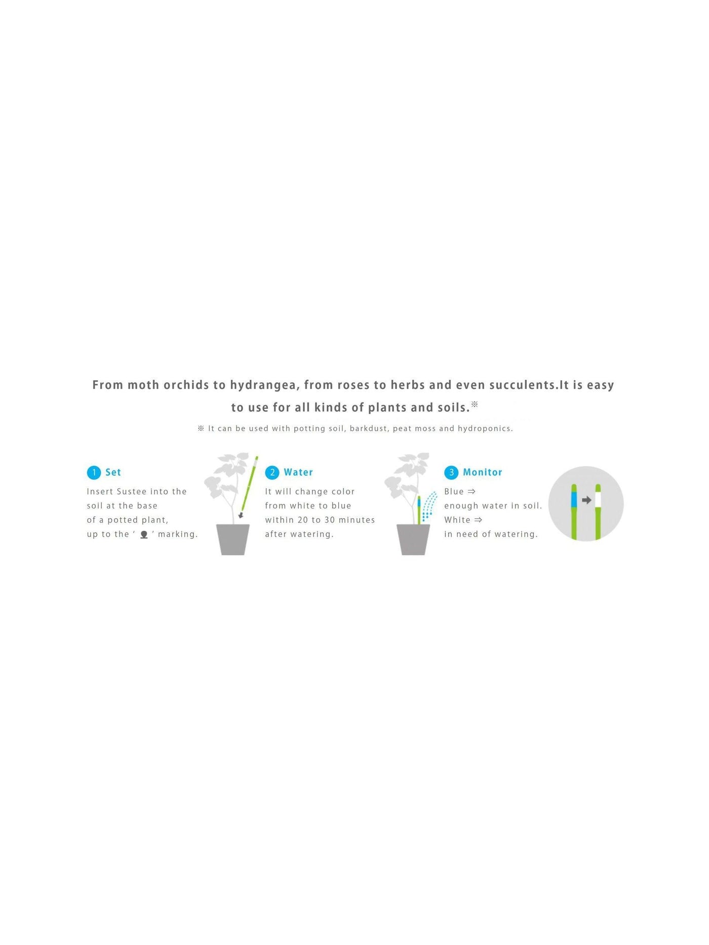 Sustee Aquameter Plant Moisture Sensor - Bumble Plants