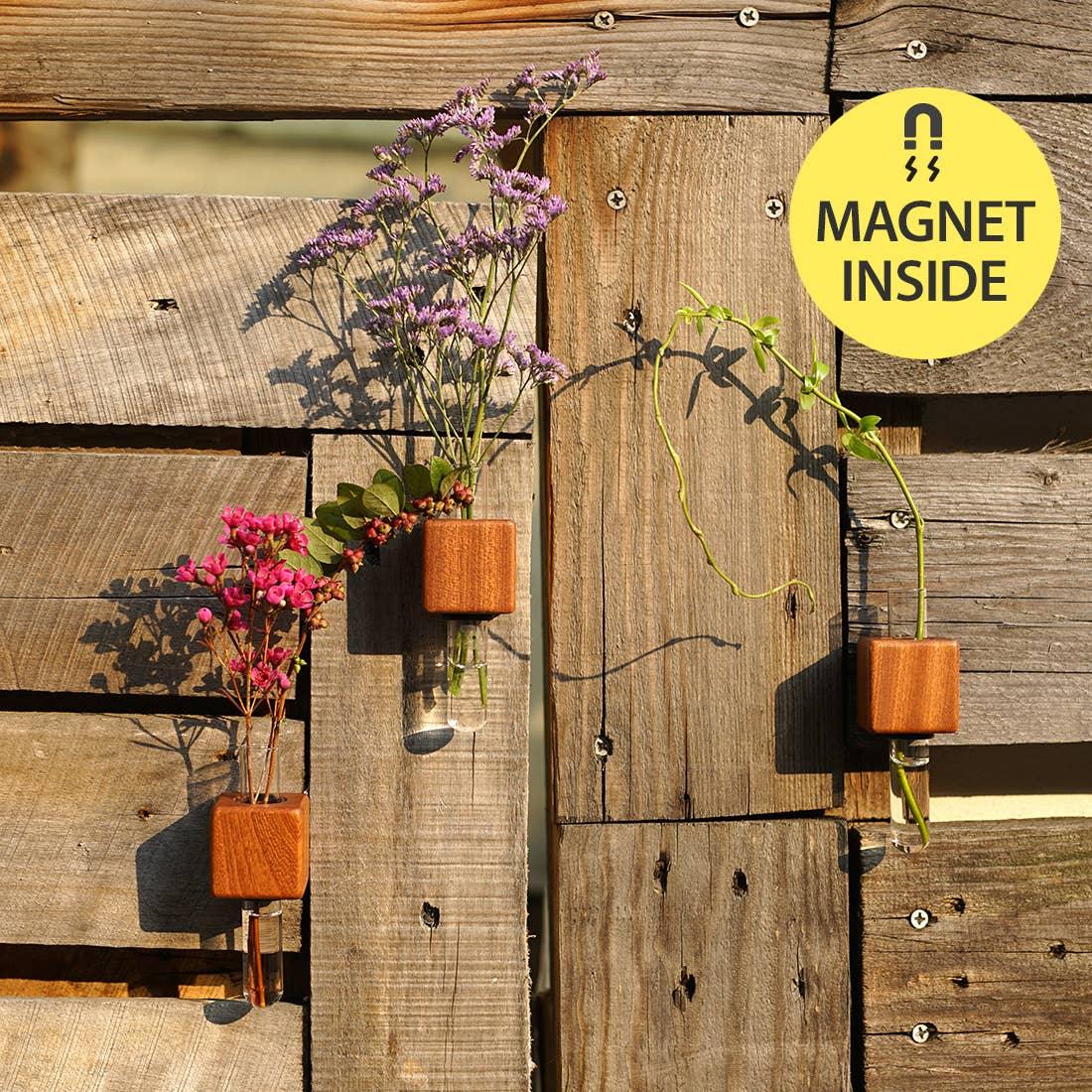 VICE Single Magnetic Cube Propagation Vase - Bumble Plants