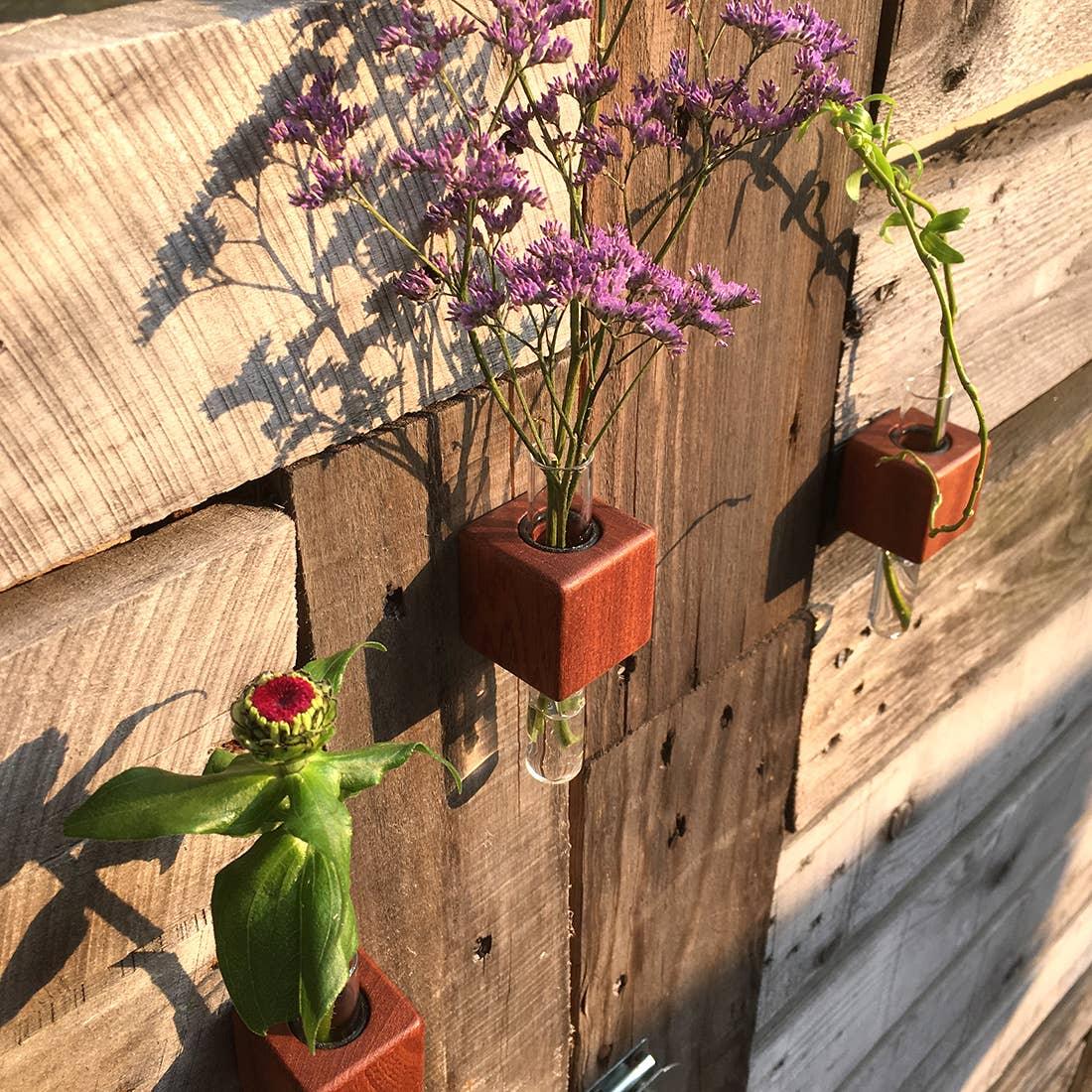 VICE Single Magnetic Cube Propagation Vase - Bumble Plants