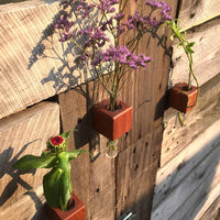 VICE Single Magnetic Cube Propagation Vase - Bumble Plants