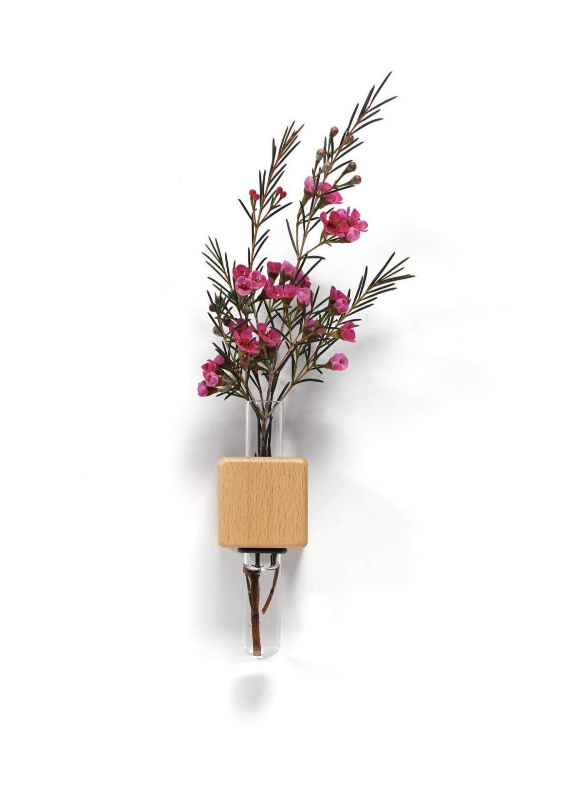 VICE Single Magnetic Cube Propagation Vase - Bumble Plants