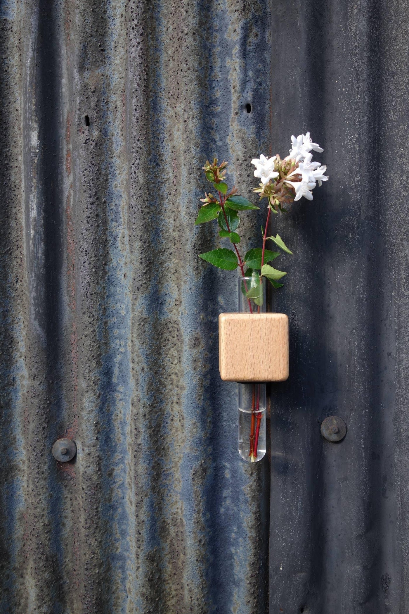VICE Single Magnetic Cube Propagation Vase - Bumble Plants