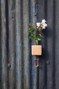 VICE Single Magnetic Cube Propagation Vase - Bumble Plants