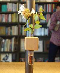VICE Single Magnetic Cube Propagation Vase - Bumble Plants