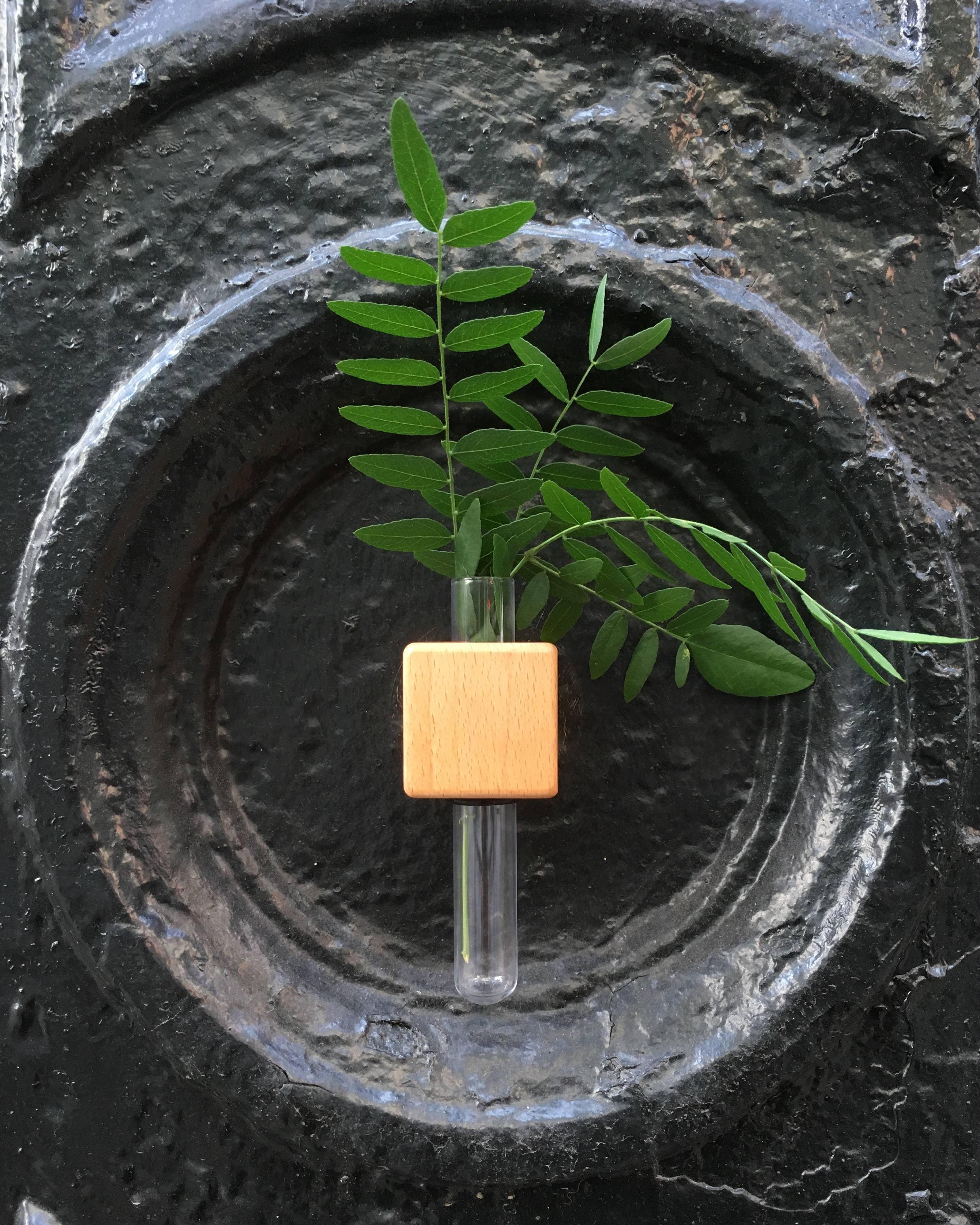 VICE Single Magnetic Cube Propagation Vase - Bumble Plants