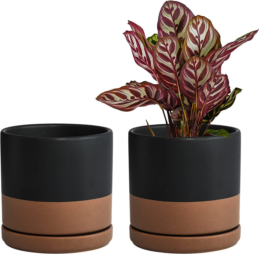 Jet Setter Ceramic Planter Duo (Set of 2) - 6 inch - Bumble Plants