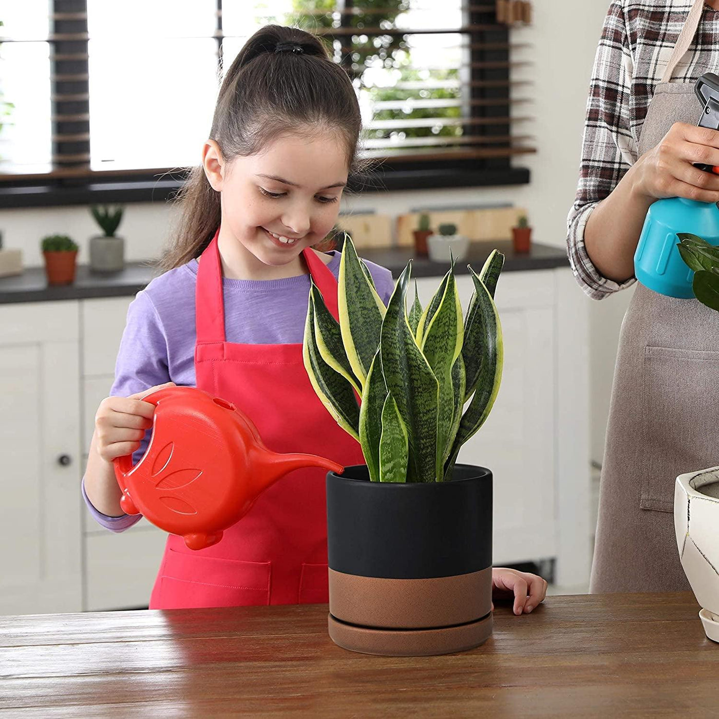 Jet Setter Ceramic Planter Duo (Set of 2) - 6 inch - Bumble Plants