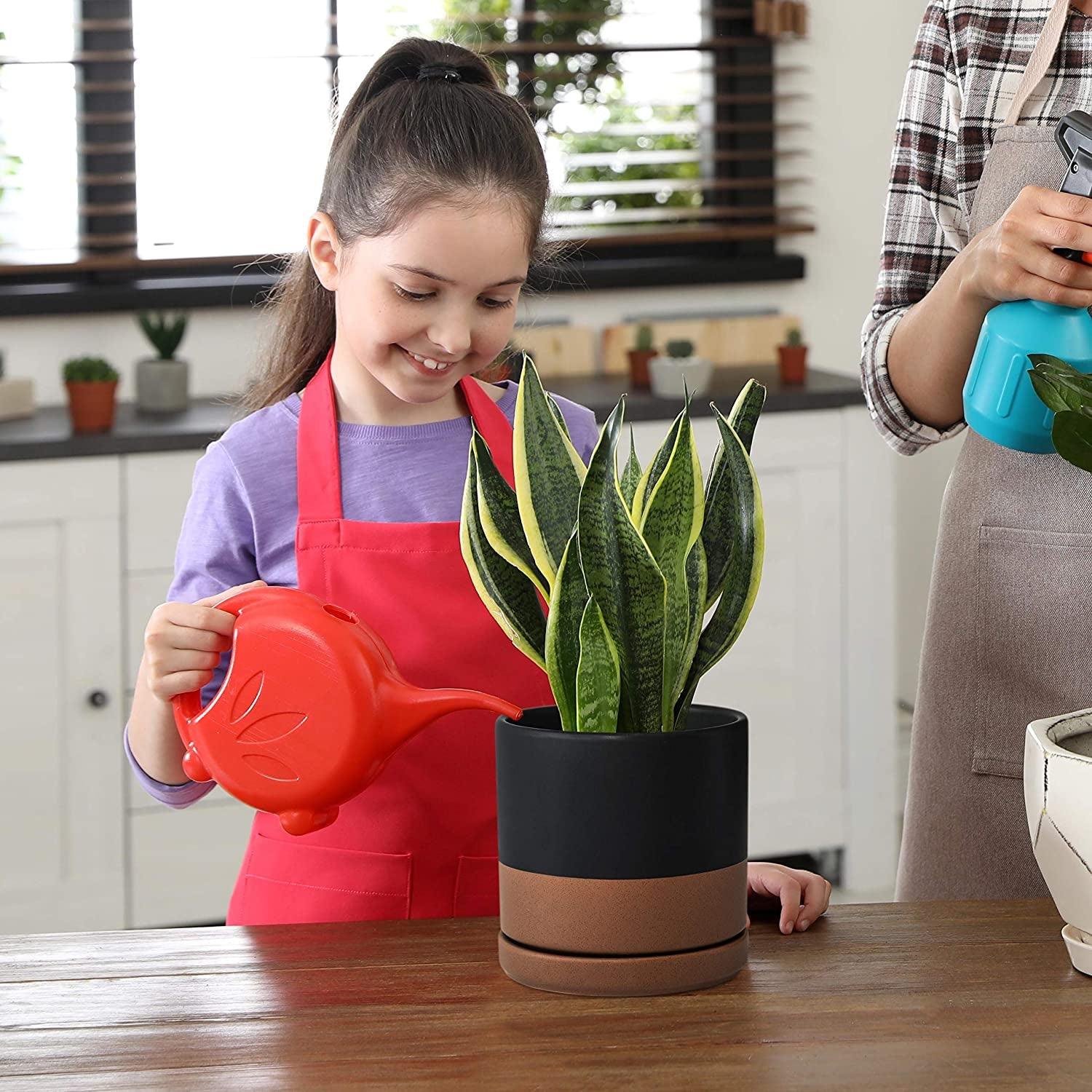 Jet Setter Ceramic Planter Duo (Set of 2) - 6 inch - Bumble Plants
