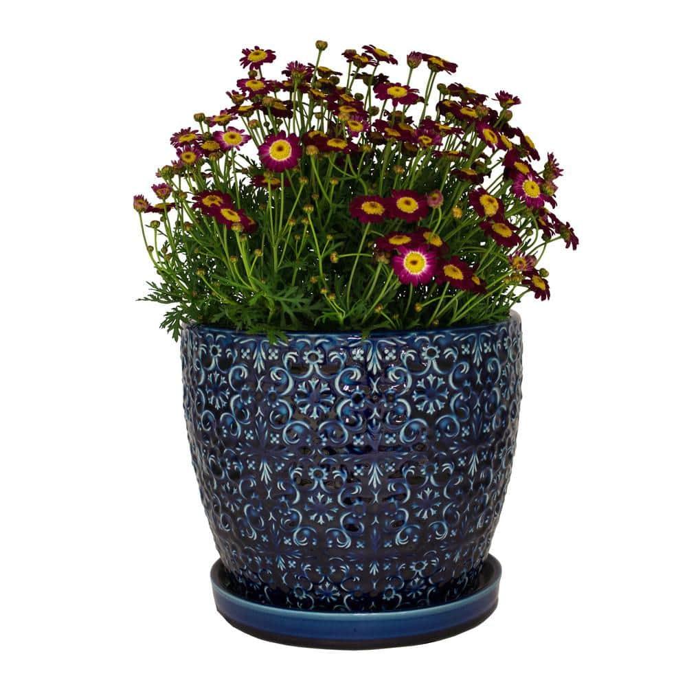 Blue Majesty Mediterranean Bell Ceramic Planter Pot - 10 inch - Bumble Plants