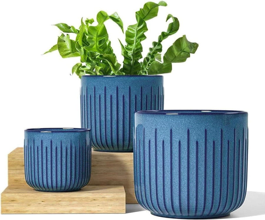 Blue Marine Trio Planters (set of 3) - 8.3+6.9+5.7 Inch - Bumble Plants