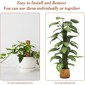Coco Coir Climbing Pole - Bumble Plants