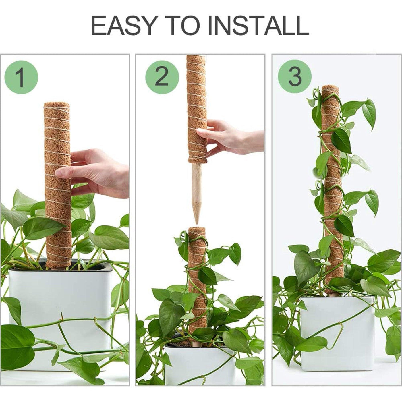 climbing pole for indoor plants Live Coco Coir Climbing Pole