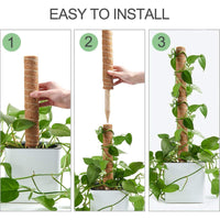 Coco Coir Climbing Pole - Bumble Plants